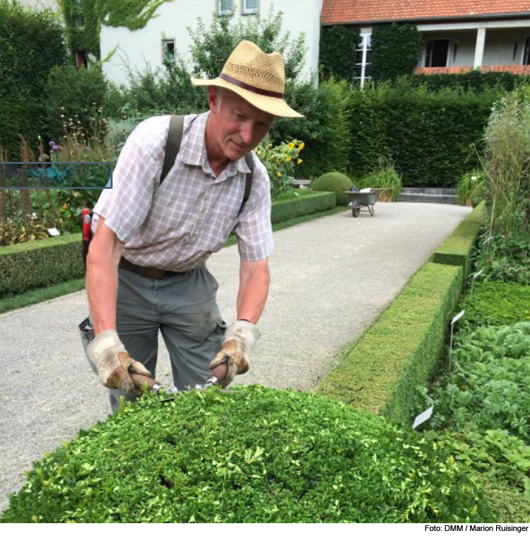 Meister der Buchsbaumkugeln