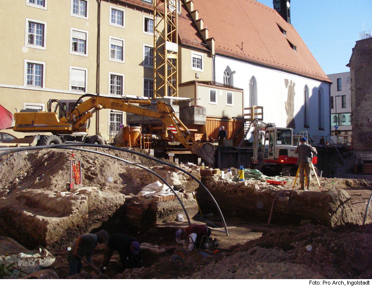 Donauauen in der Altstadt