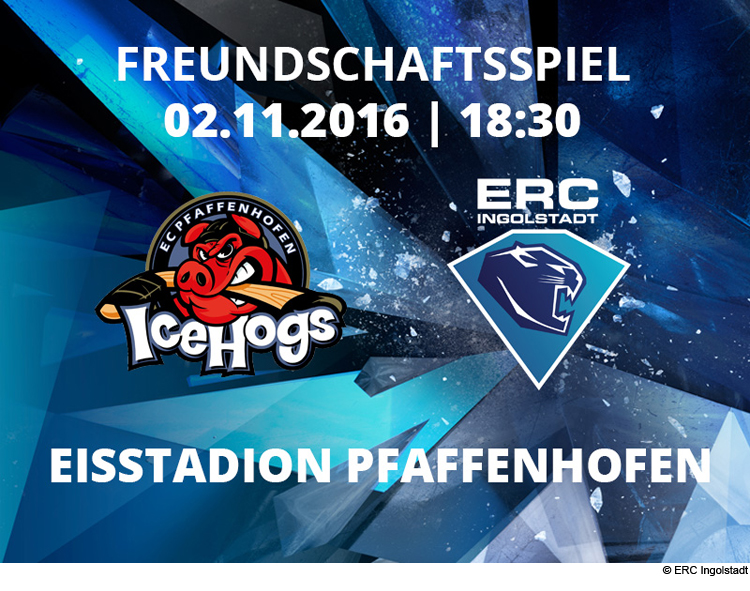 Panther spielen gegen Pfaffenhofen