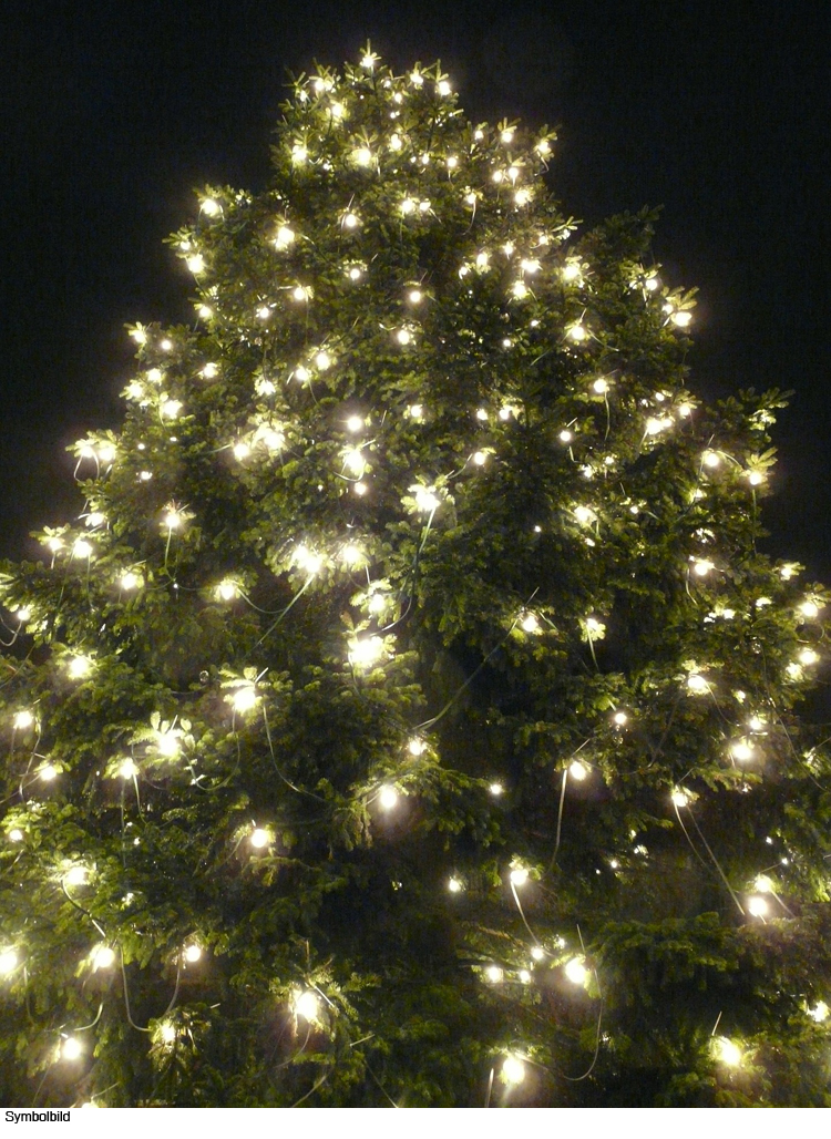 Christbaum wird aufgestellt