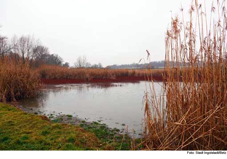 Ettinger Eisweiher führt wieder Wasser 