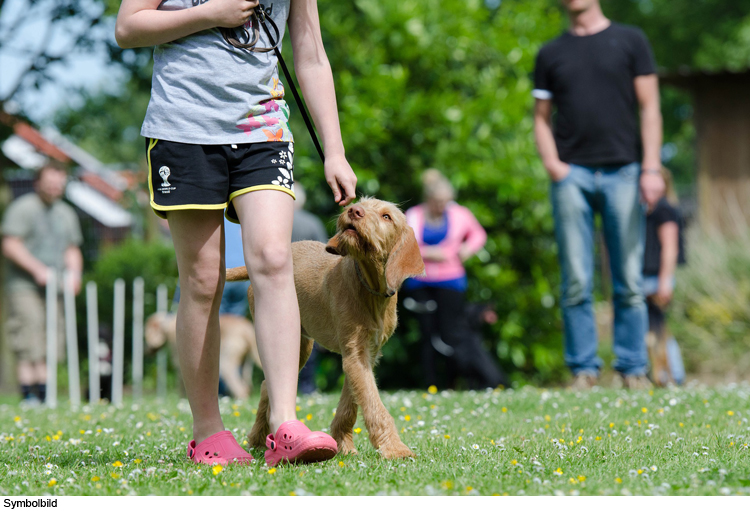 Einbruch in Hundezentrum