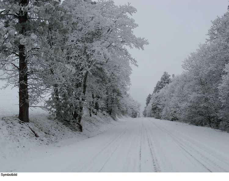 Spur verliert sich im Schnee