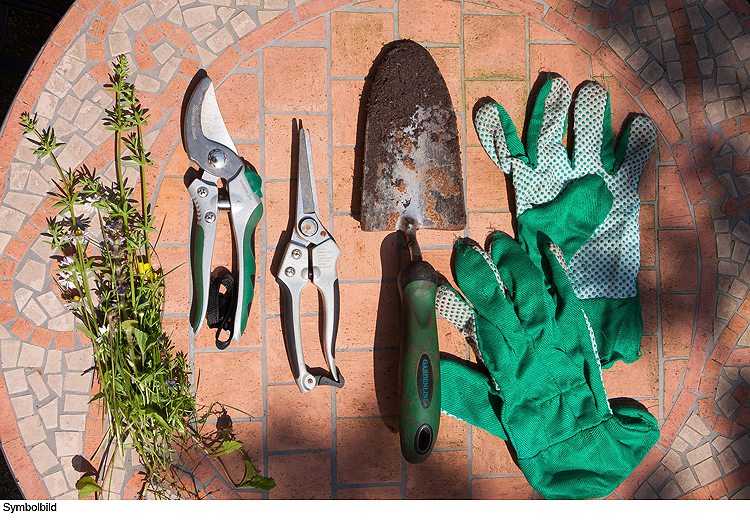 Naturschutzgesetz gilt auch im eigenen Garten