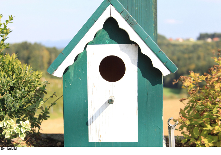 Ihr Vöglein kommet – wenn Vögel im Garten nisten!  