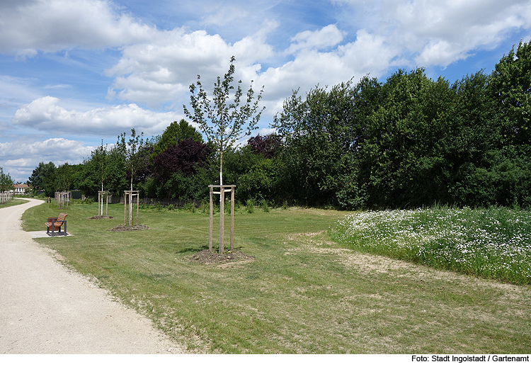 Neues aus und für Friedrichshofen