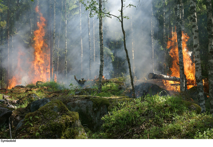 Aktuell erhöhte Waldbrandgefahr