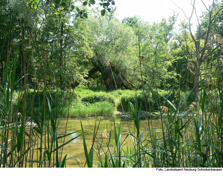 Dritter Nationalpark in Bayern?