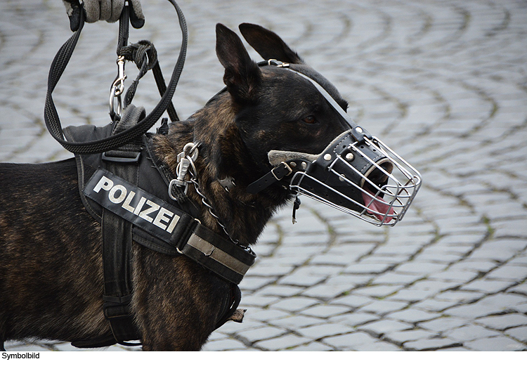 Rauschgifthund nach Familienstreit in Einsatz