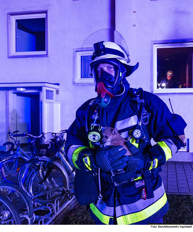 Feuerwehr rettet Hundewelpen aus Brandwohnung