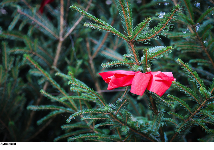 Märchenwerkstatt: „Der Tannenbaum“