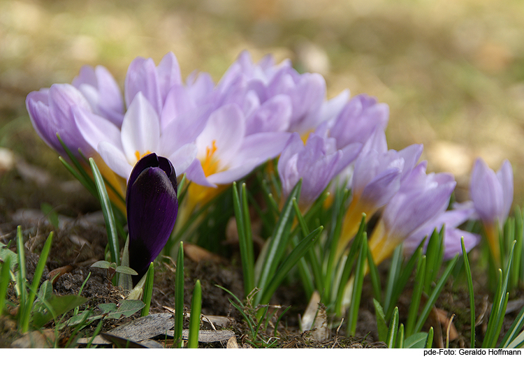 Predigt von Bischof Hanke am Ostersonntag