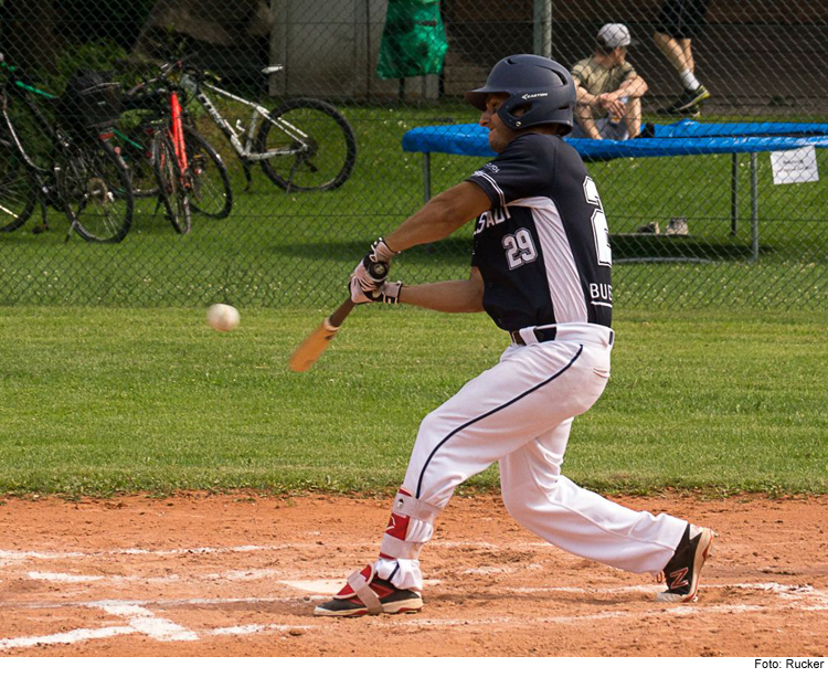 TV-Baseballer verteidigen 3. Platz in der 2. Bundesliga