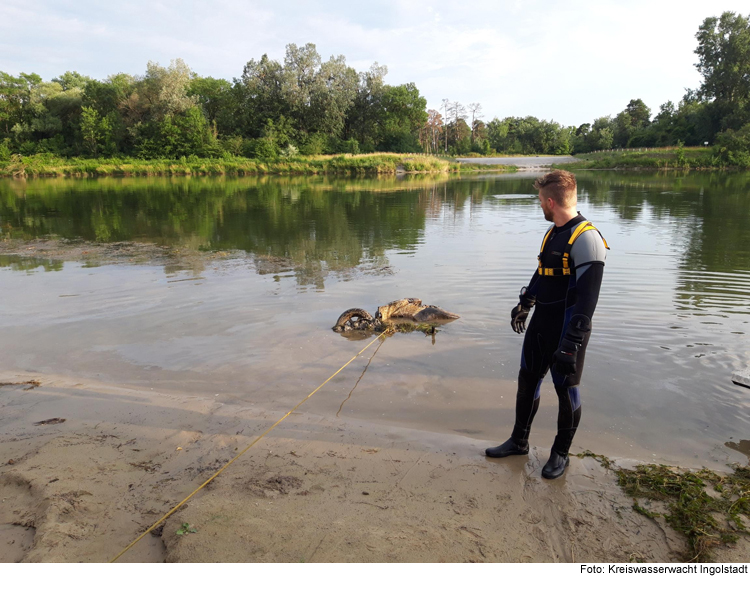 Wasserwacht zieht Roller aus Donau