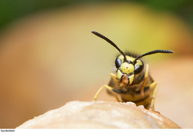 Verstärkung für Naturschutzwacht gesucht 