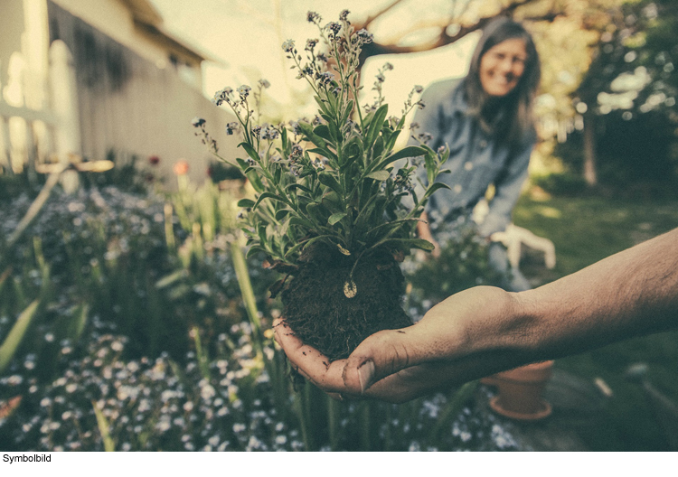 Gartenarbeiten im Herbst gezielt durchführen