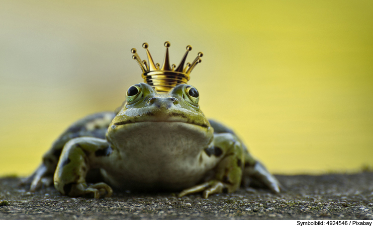 Märchenwerkstatt: Der Froschkönig