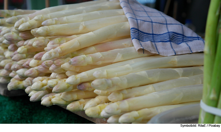 15 Kilogramm Spargel von Feld gestohlen