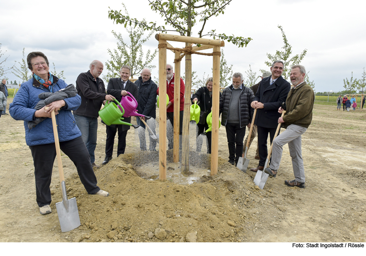 2020. Baum auf dem LGS-Gelände gepflanzt