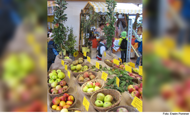 „Vielfalt schmeckt! – Gesundes aus dem Garten“