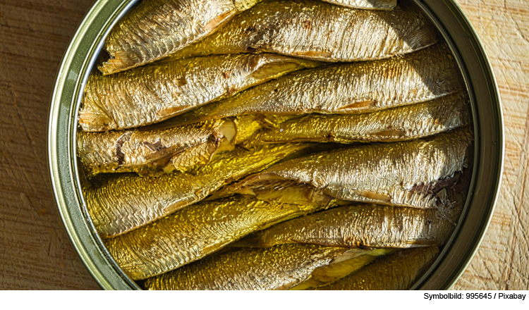 Bier getrunkenen und Fischkonserven geöffnet