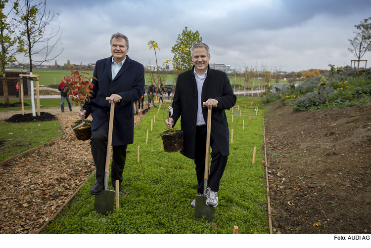 Gemeinsame Baumpflanzaktion auf Landesgartenschau Gelände