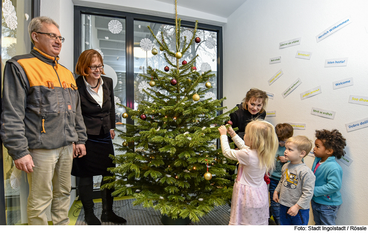 Christbäume für die städtischen Kindergärten und -krippen