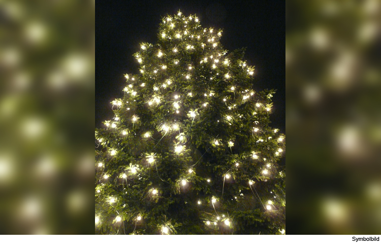 Christbaum für den Rathausplatz