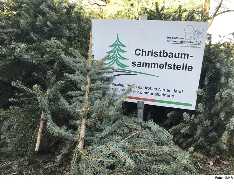 Entsorgung von abgeschmückten Christbäumen