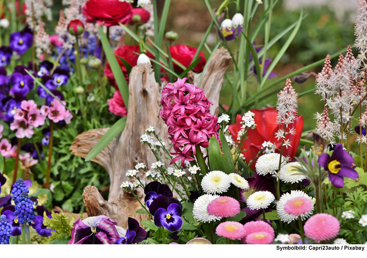 Mit der Volkshochschule zum eigenen Gartenparadies 