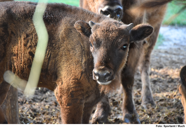 Führung durch den Wildpark am Baggersee