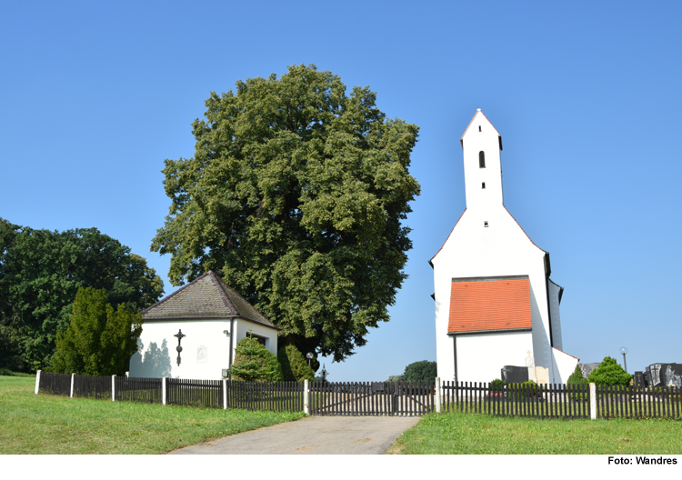 Bäume zurückgeschnitten und gefällt