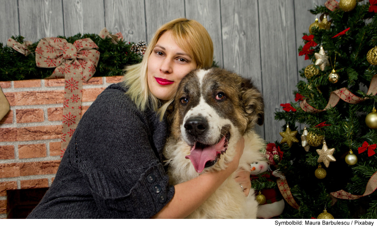 Weihnachten mit Hund-die Weihnachtszeit richtig genießen