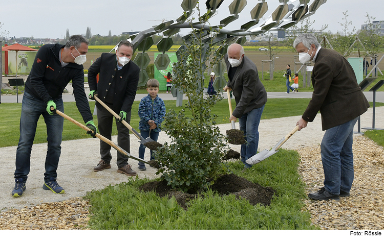 Pflanzaktion Baum des Jahres 2021 