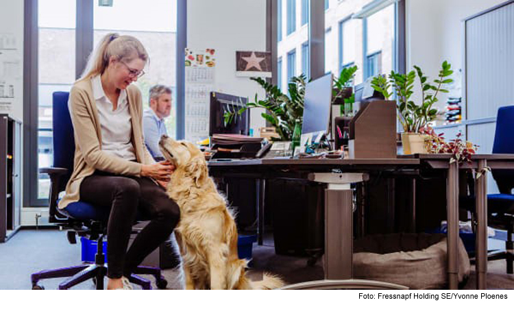 Mit Hund ins Büro?