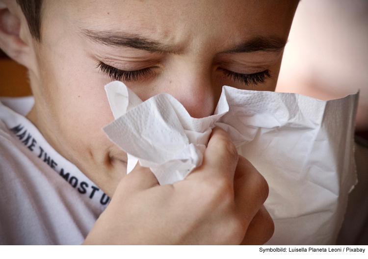 Pollenallergie: Beschwerden vorbeugen und lindern