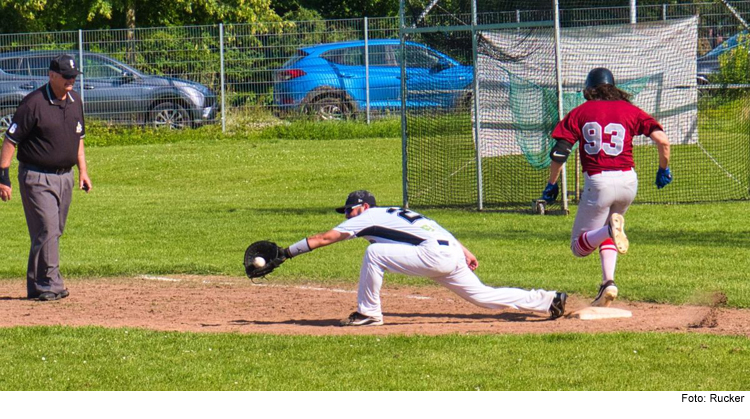 TV-Baseballer bringen Spitzenreiter nur kurz in Verlegenheit