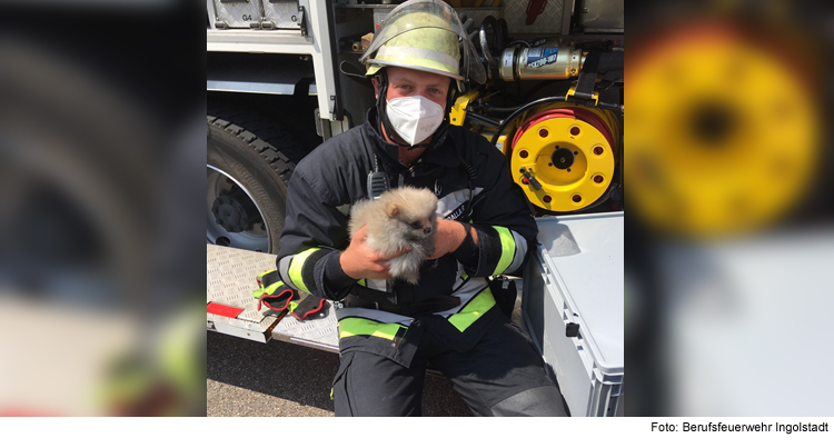 Feuerwehr rettet Hunde und Katzen aus brennendem Haus