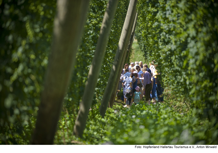 Tourismus in der Hallertau – von Corona geprägt