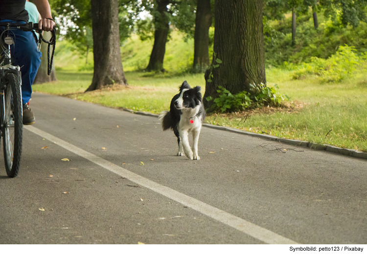 Betrunkener Radfahrer mit Hund stürzt auf Radweg