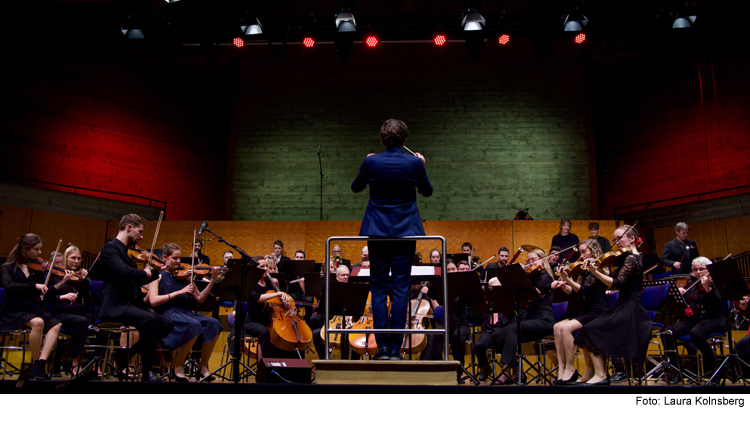 Frühlingskonzert des Ingolstädter Kammerorchesters