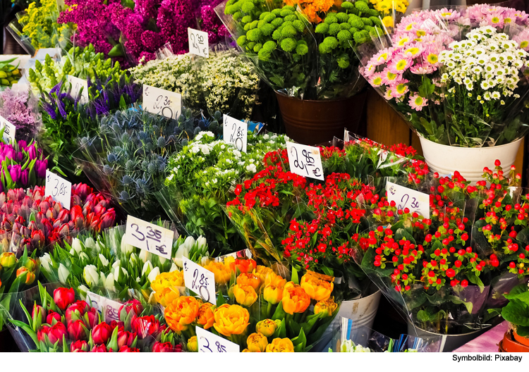 Versuchter Einbruch in Blumenladen