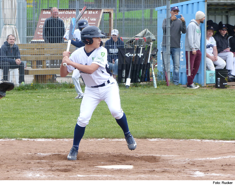 Baseballer eröffnen mit Heimspiel die Bayernliga-Saison