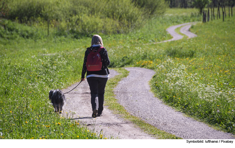 Wandern mit Hund: Naturerlebnis für Mensch und Tier