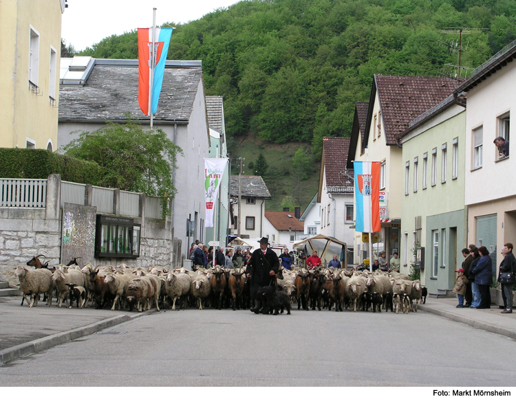 Ein tierisches Spektakel der besonderen Art