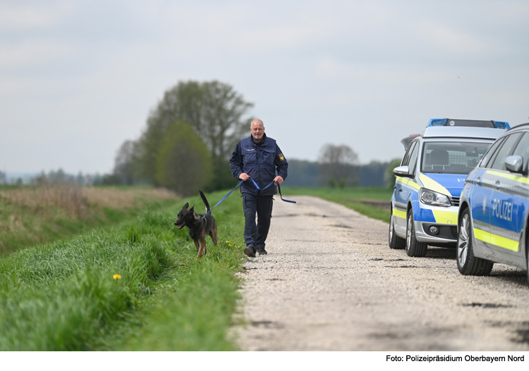 Illegale Tötung von Greifvögeln 