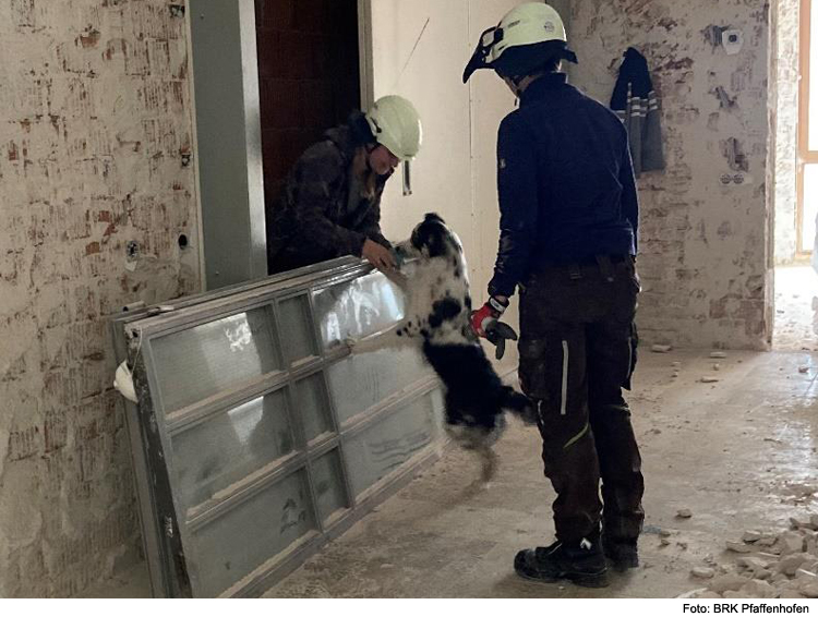 Rettungshundestaffel trainiert in Abrisshaus