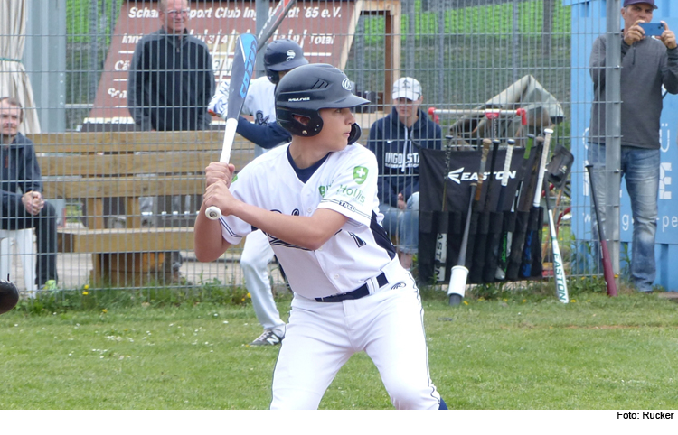 Schanzer Baseballer sind wieder auf Playoff-Kurs