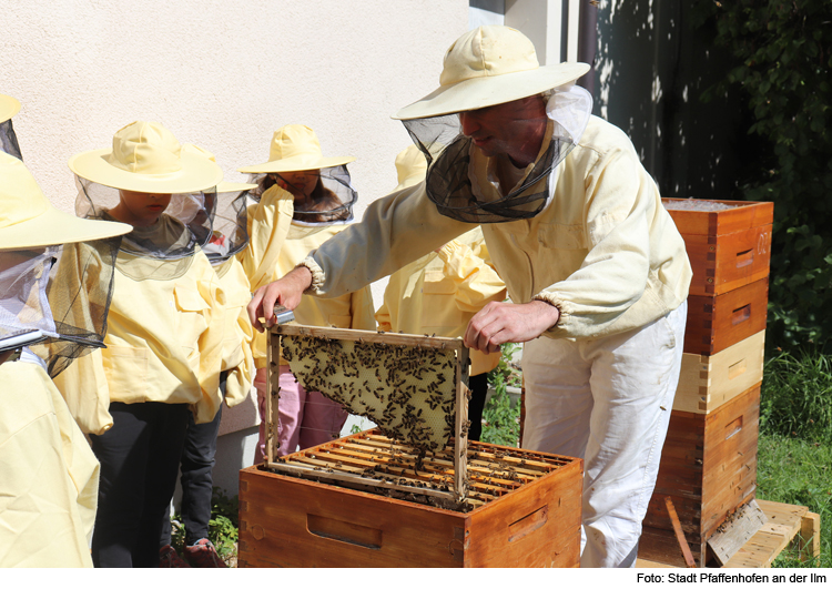 Unterricht mit Bienen