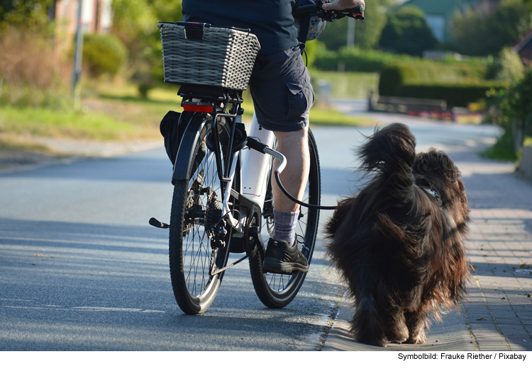 Hundehalter erwartet Ermittlungsverfahren